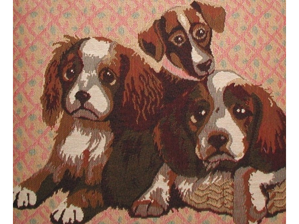 Cavalier Purse In Tapestry